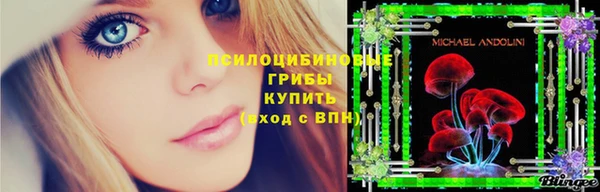 метамфетамин Алексин