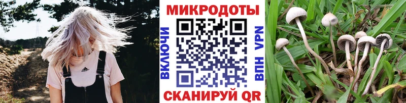 ОМГ ОМГ ссылка  Покачи  дарк нет наркотические препараты  купить   Галлюциногенные грибы прущие грибы 